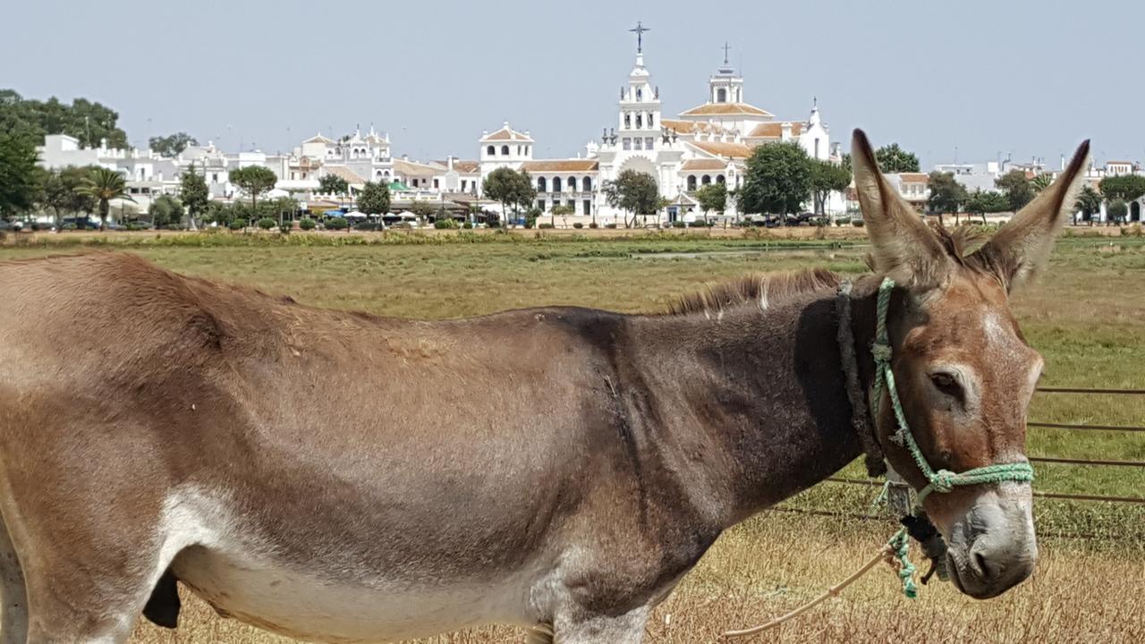 Hospedería Rural Las Buganvillas El Rocío Exterior foto