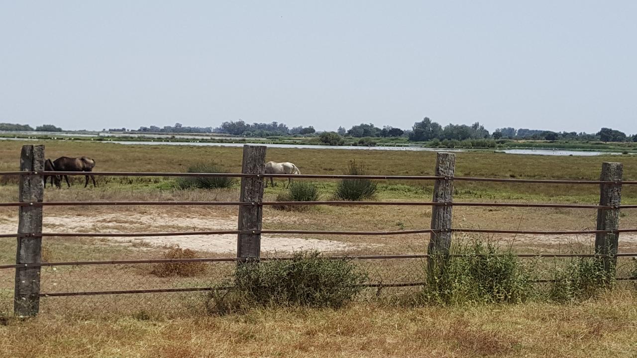 Hospedería Rural Las Buganvillas El Rocío Exterior foto